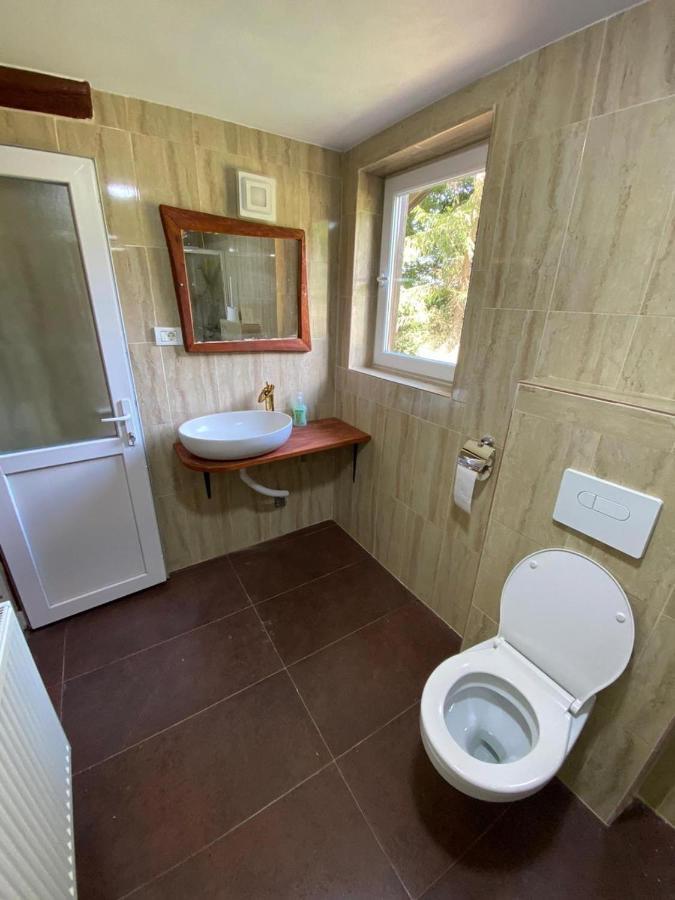 Pensiunea Casa Zmeilor Dragus Εξωτερικό φωτογραφία